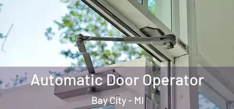 Automatic Door Operator Bay City - MI