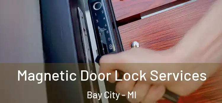Magnetic Door Lock Services Bay City - MI